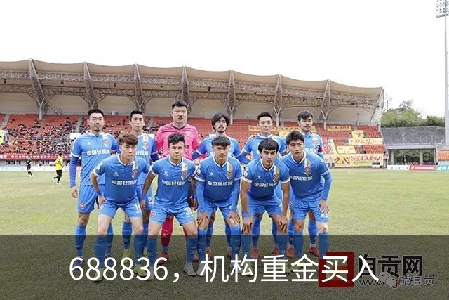 688836，机构重金买入